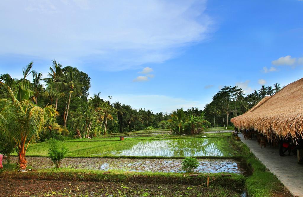 Sapulidi Resort Spa & Gallery Bali ウブド エクステリア 写真