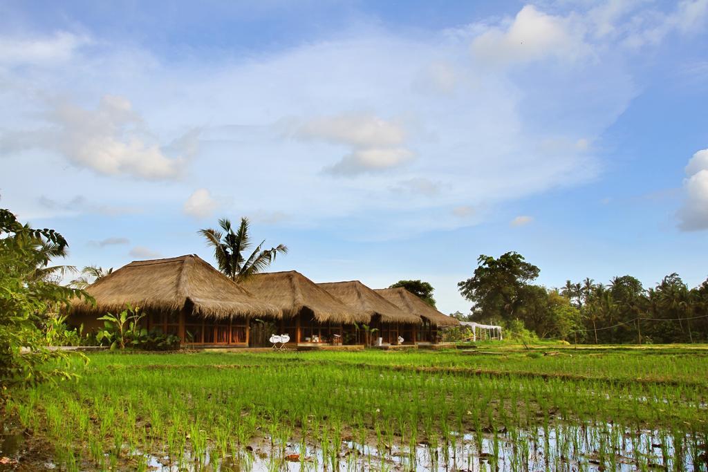Sapulidi Resort Spa & Gallery Bali ウブド エクステリア 写真