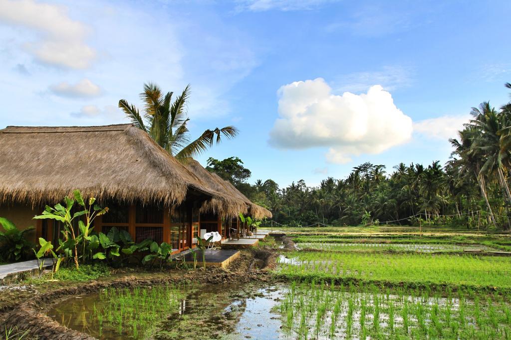 Sapulidi Resort Spa & Gallery Bali ウブド エクステリア 写真