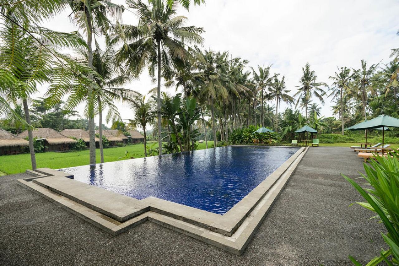 Sapulidi Resort Spa & Gallery Bali ウブド エクステリア 写真