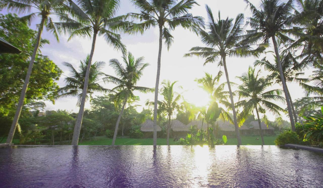Sapulidi Resort Spa & Gallery Bali ウブド エクステリア 写真