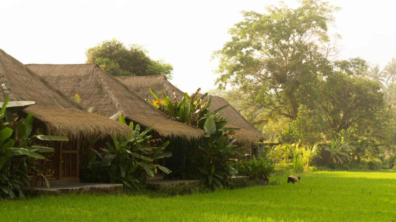 Sapulidi Resort Spa & Gallery Bali ウブド エクステリア 写真