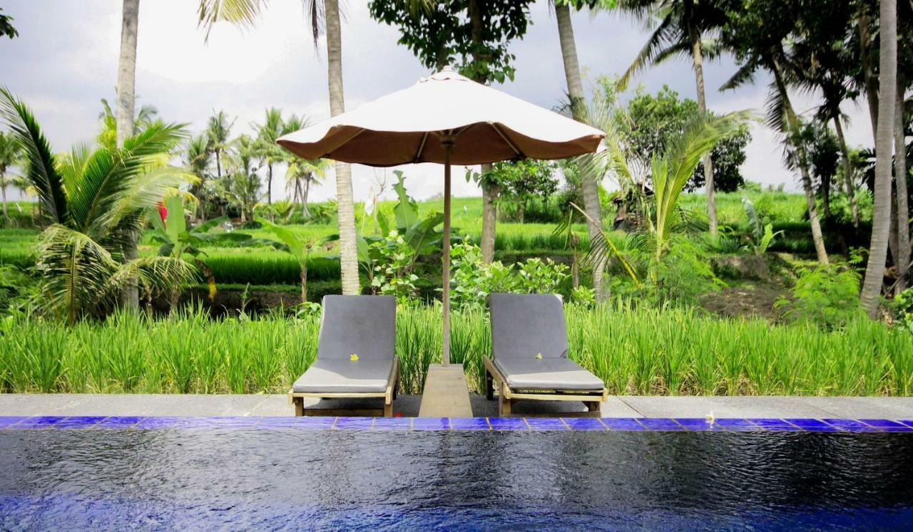 Sapulidi Resort Spa & Gallery Bali ウブド エクステリア 写真